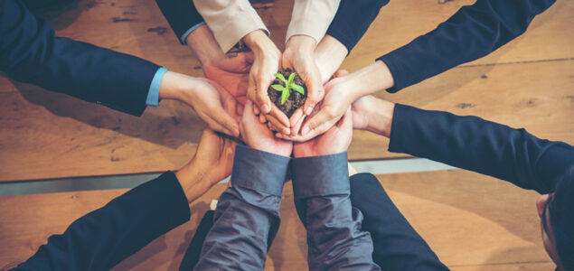 Green business eco company partners holding plant together trust mission team with green hands stacked. Ecology collaboration development ecosystem organization in greenery company partnership concept